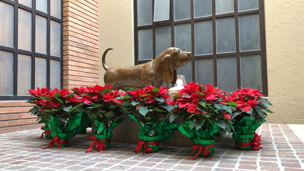 Foto de escultura de perro que se encuentra en la entrada del hotel.
