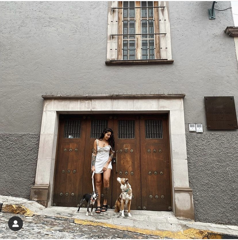 Eriferca en San Miguel de Allende  Hoteles Pet Friendly