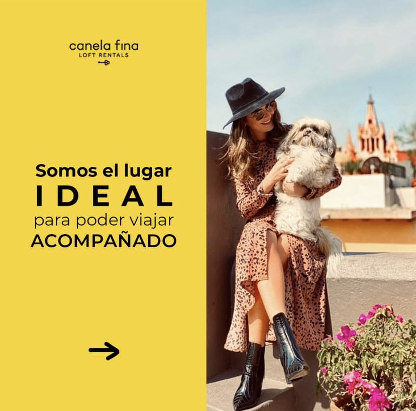 Viajar con tu mascota a San Miguel de Allende